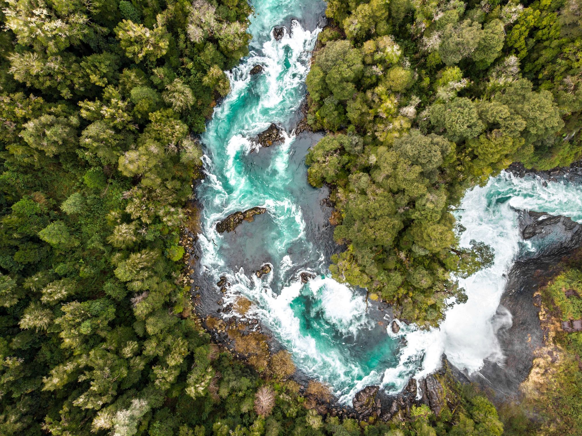 Conservation law – community forest initiative