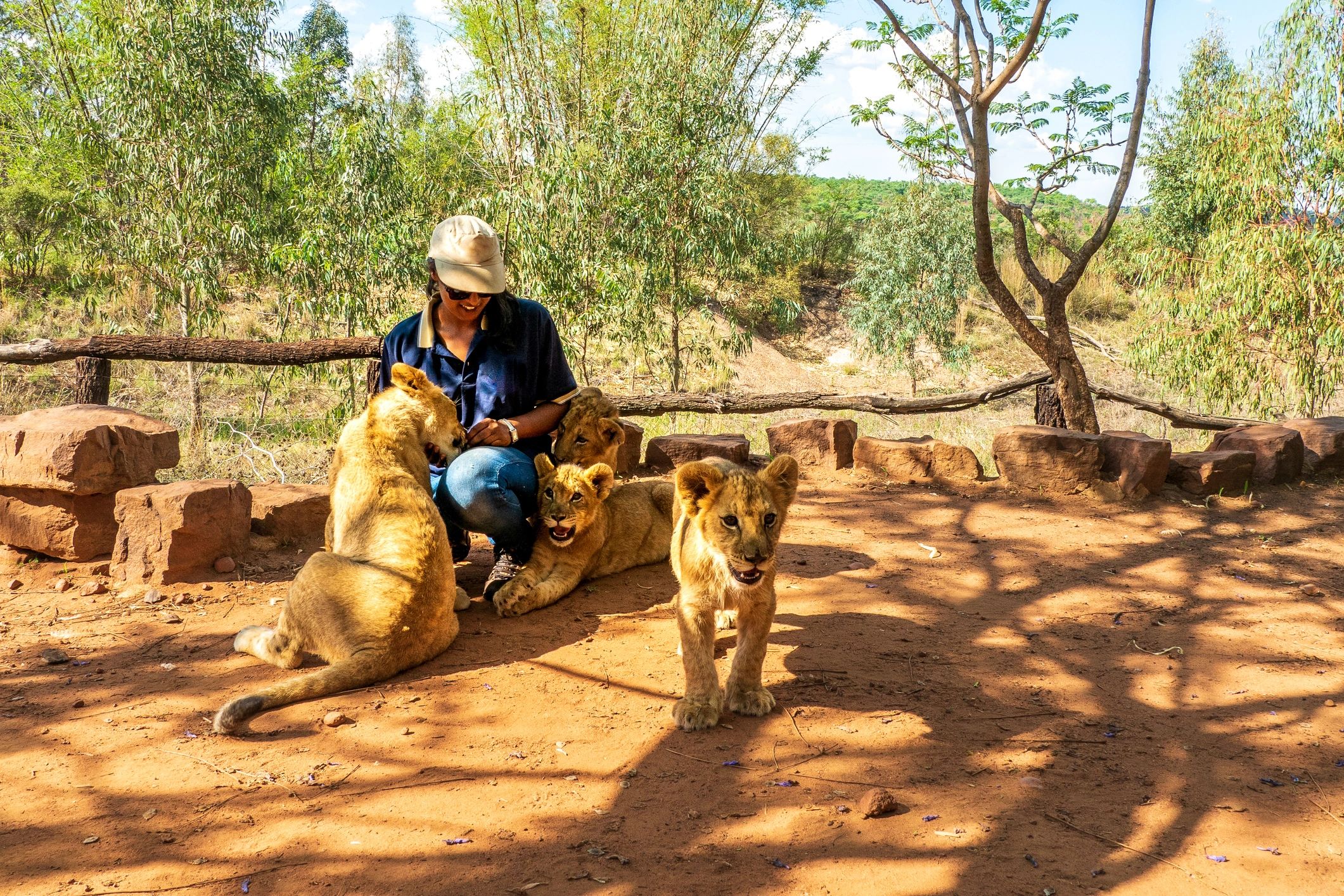 Africa wildlife conservation community project