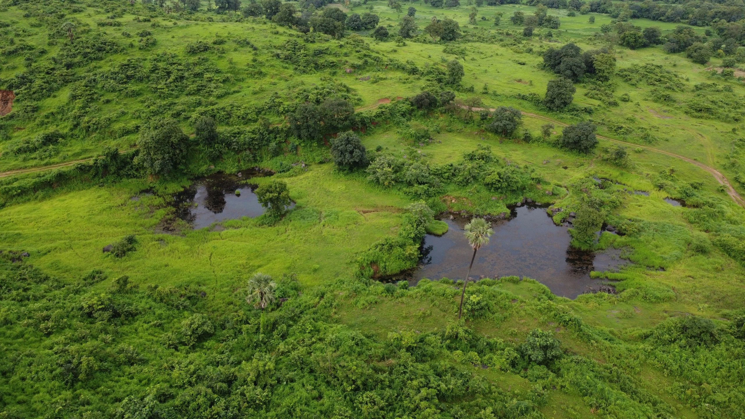 nature conservation landscape