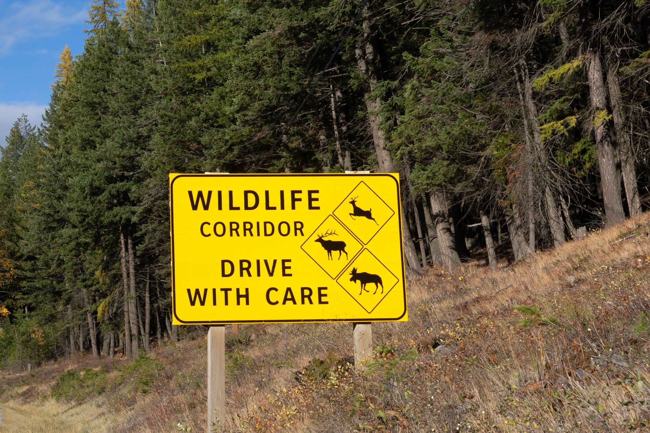wildlife management controversy