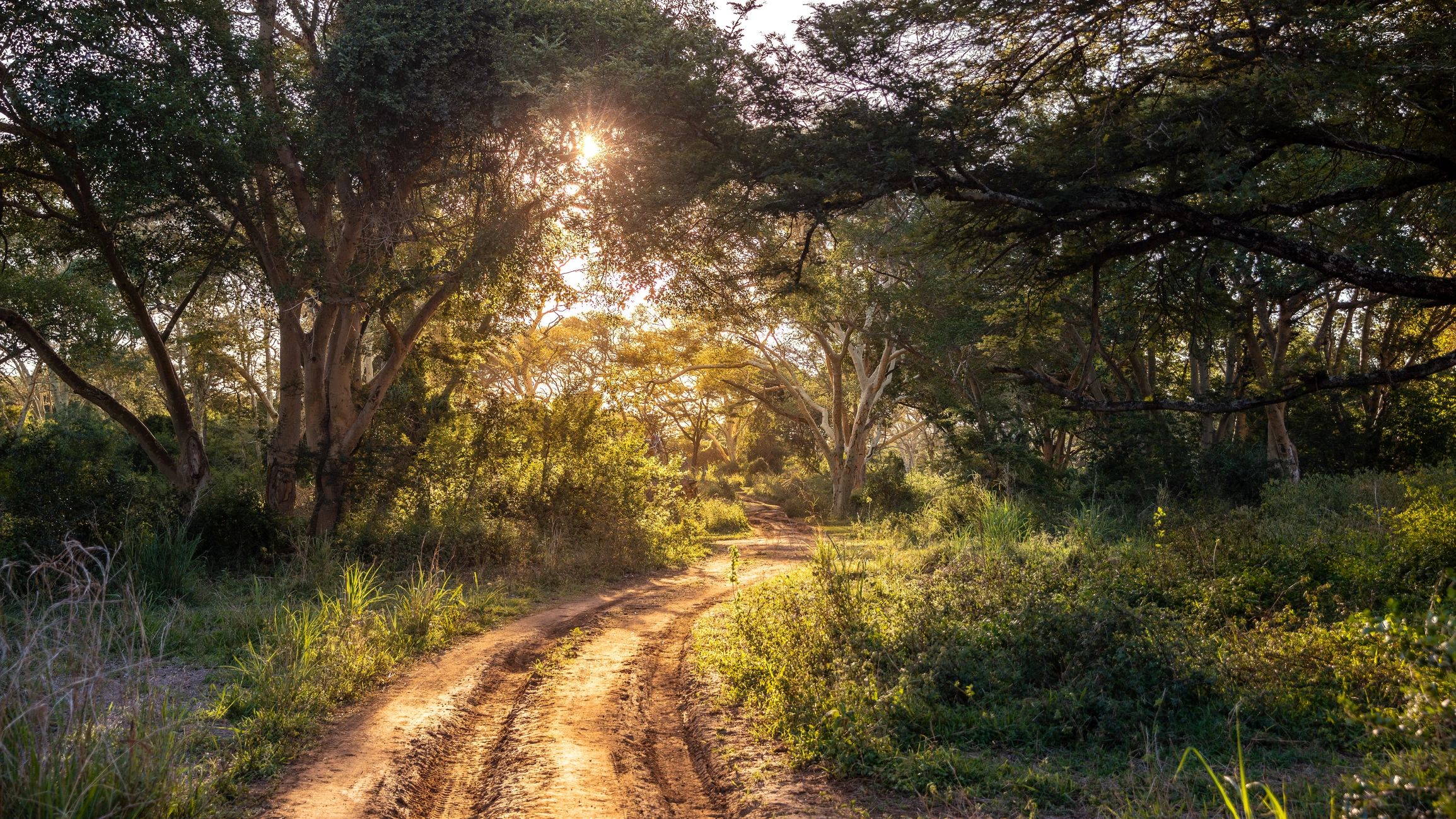 African rewilding nature reserve biodiversity