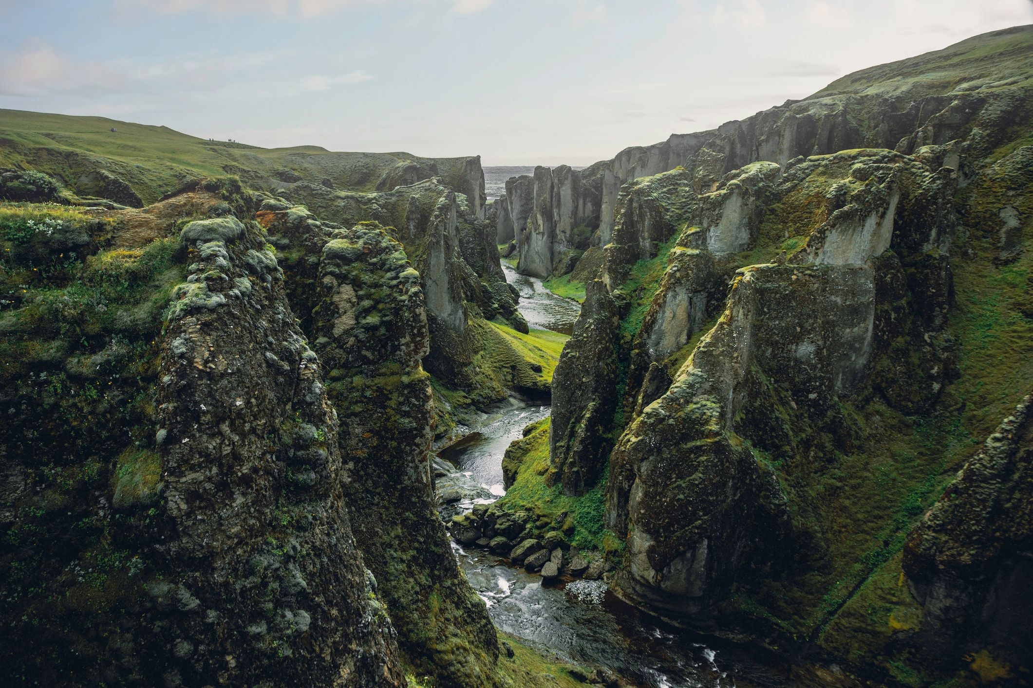nature conservation landscape