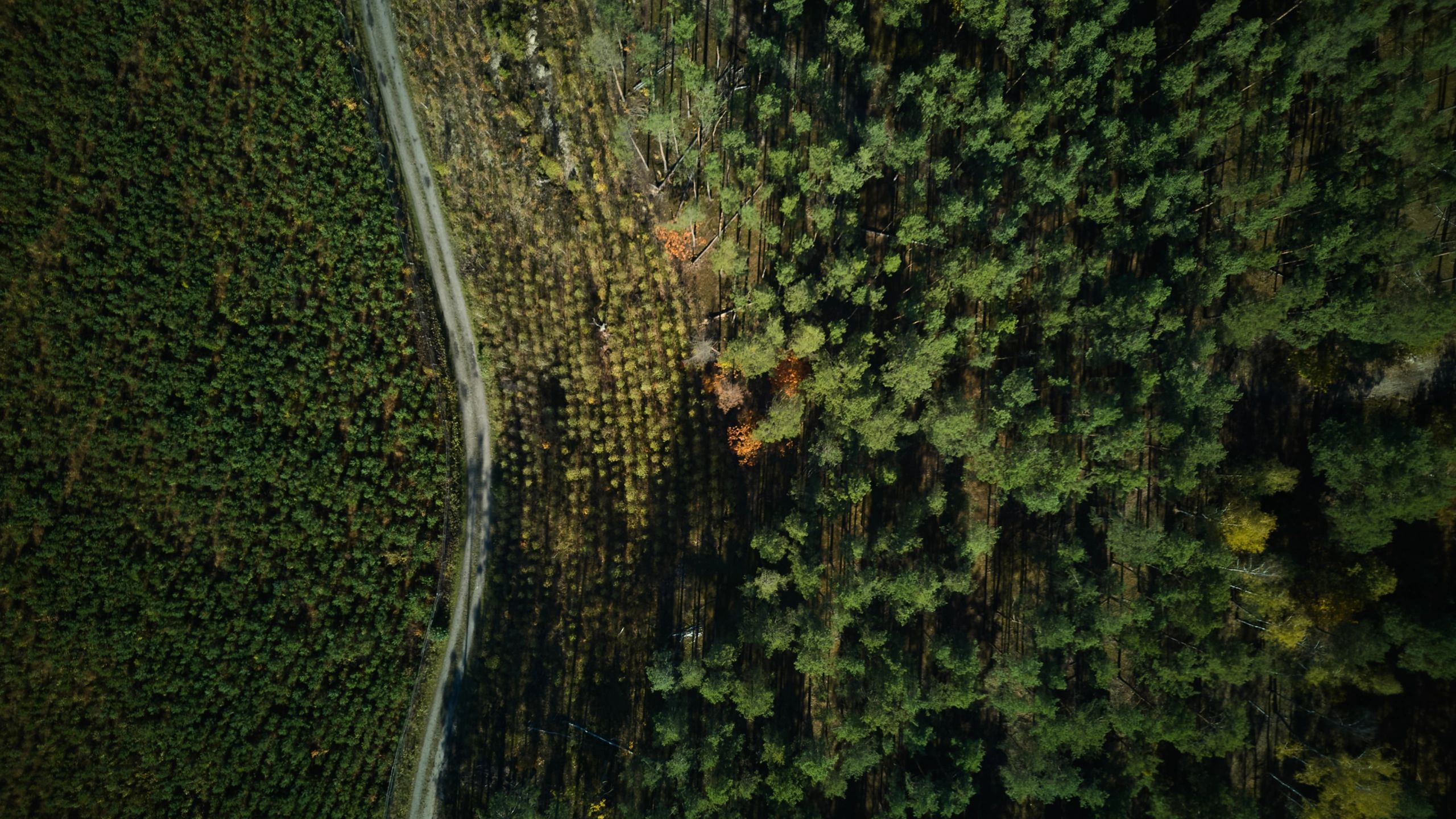 rewilding nature biodiversity