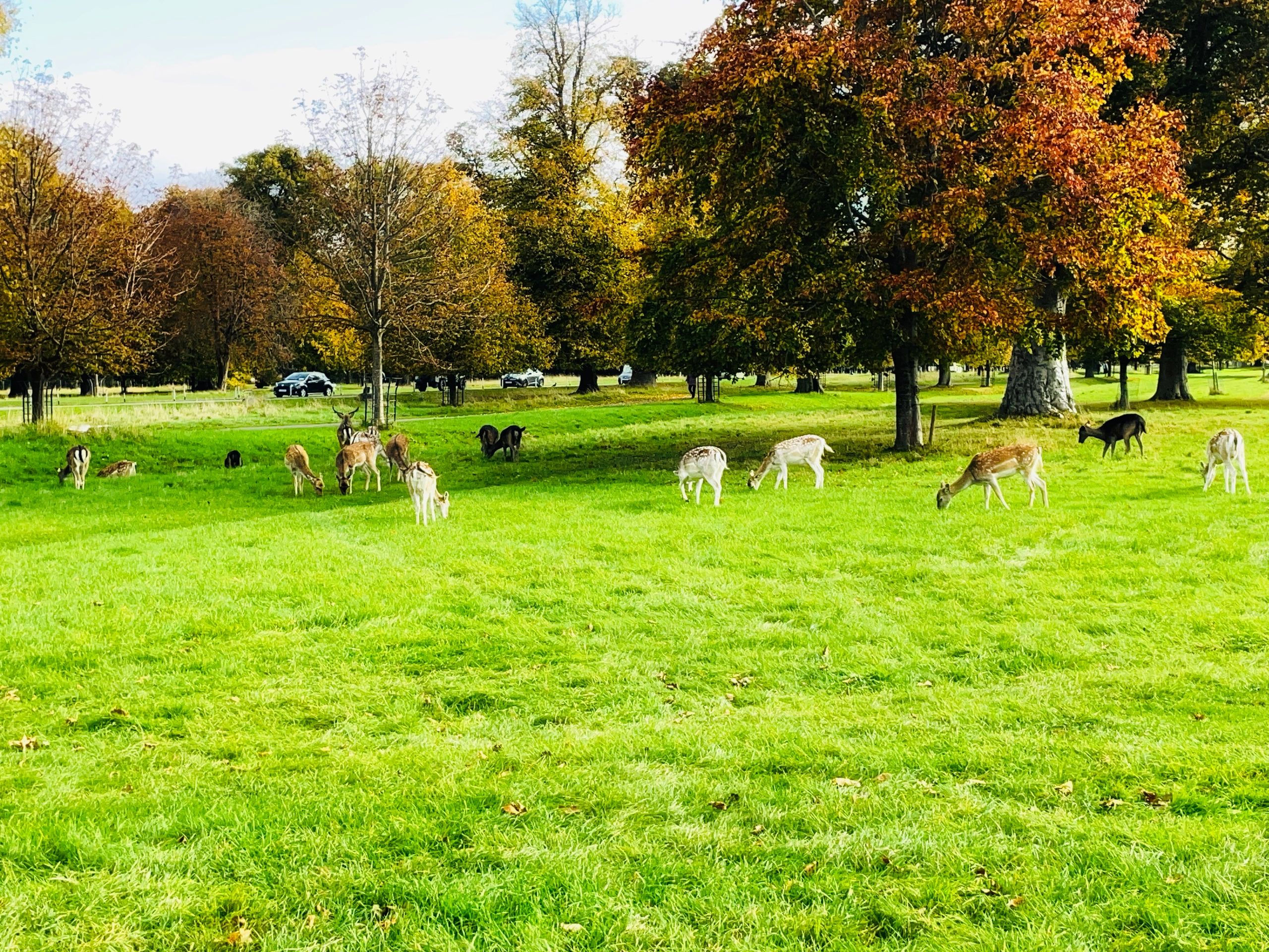 wildlife conservation blog