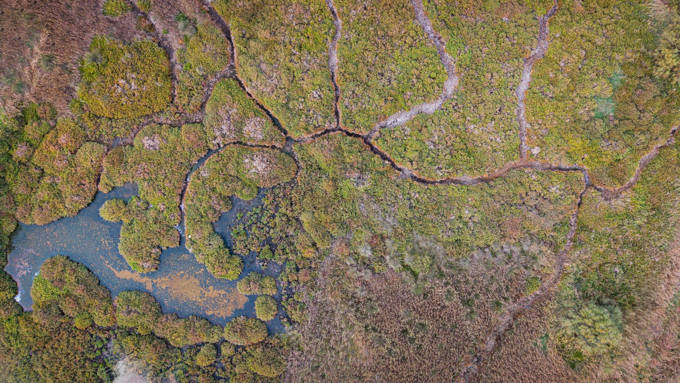 biodiversity conservation